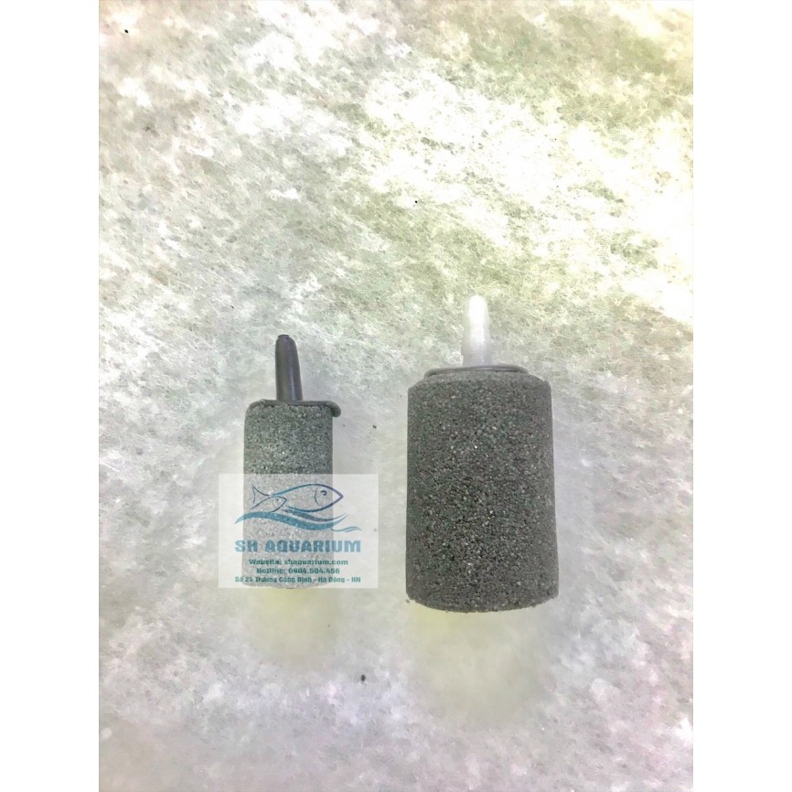 Quả sủi Ôxy cho bể cá cảnh