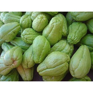 Su su Đà Lạt tươi ngon