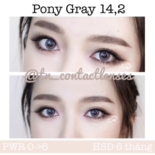 Kính áp tròng Pony Gray 14.2
