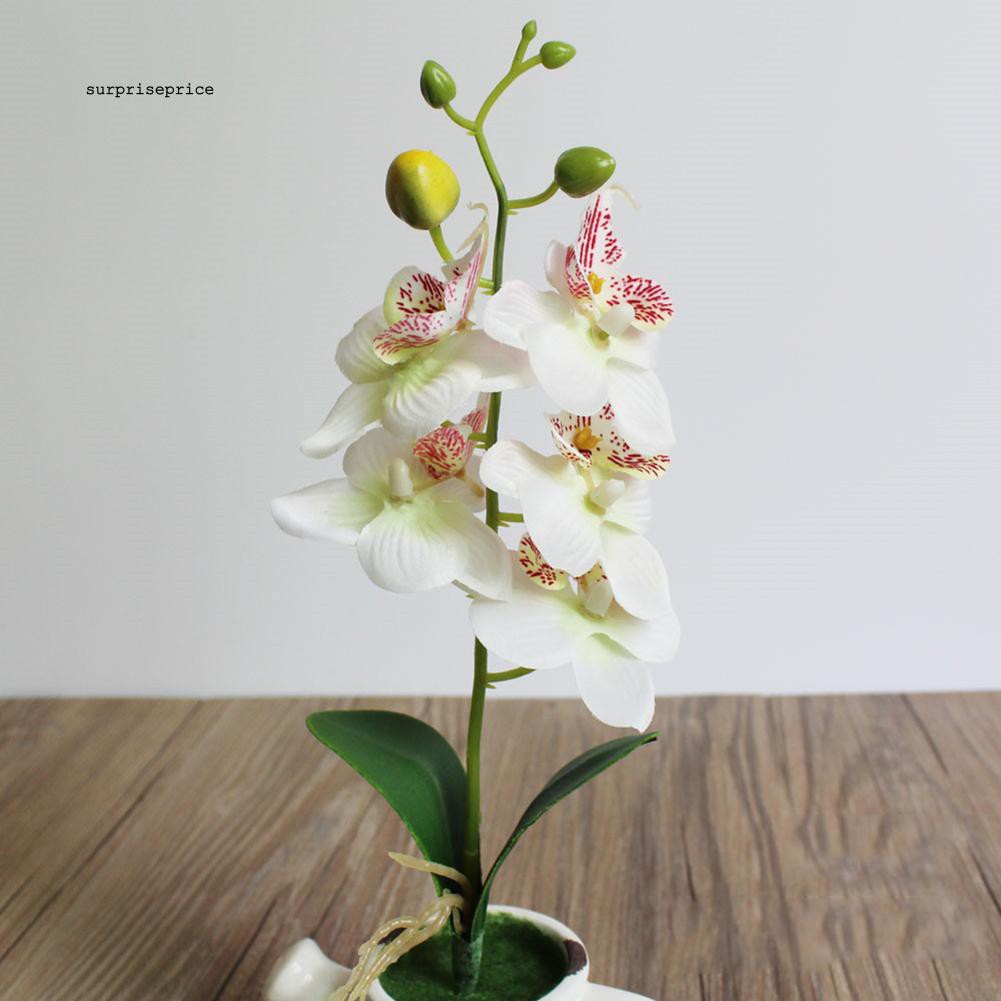 Hoa phong lan giả trang trí đa năng