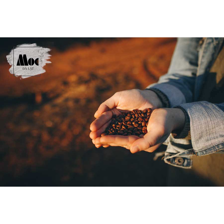 Cà phê MỘC SỨC SỐNG (Bột) - 500g - 100% Robusta và Arabica - Rang mộc, nguyên chất 100% - Nói không với tẩm ướp và hóa c | BigBuy360 - bigbuy360.vn
