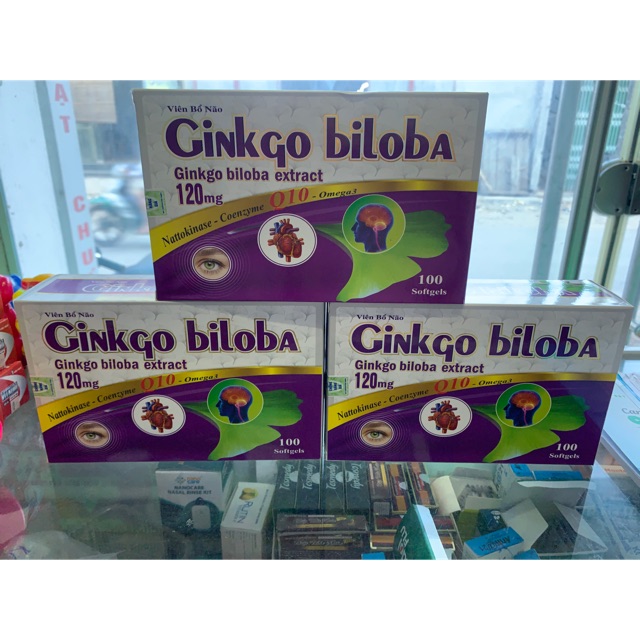 Ginko biloba 120