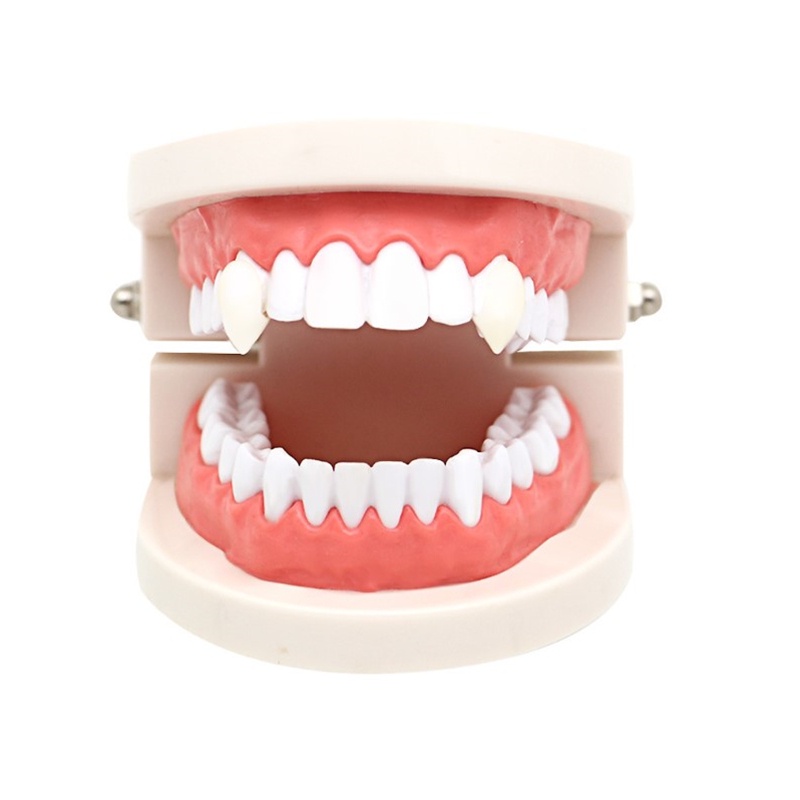 1 Cặp Răng Ma Cà Rồng Giả Hóa Trang Halloween