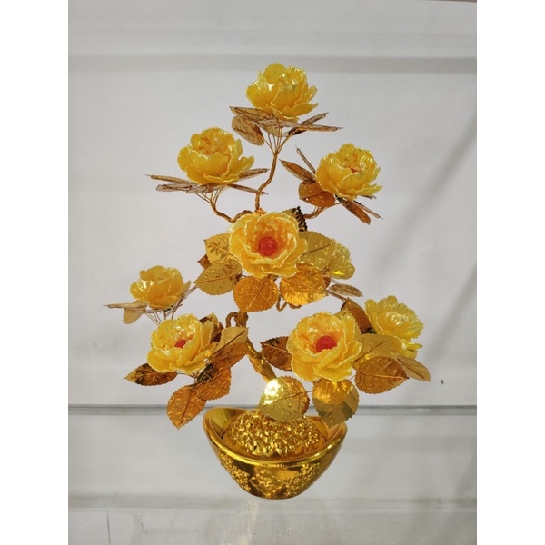cánh sò nhủ (1 b 100g)