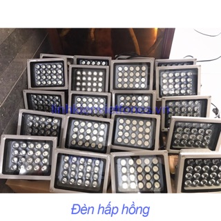Đèn hấp hồng màn hình
