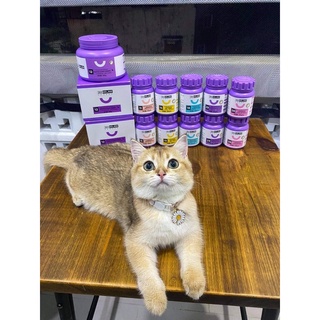 Gim Cat Các Loại Cho Mèo