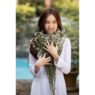 Áo dài học sinh vải lụa cao cấp [kèm hình thật]