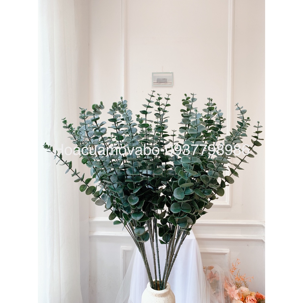 Cành Lá Tai Chuột, Lá Khuynh Diệp Merber Loại 80cm 8/5 Nhánh - Cành Lá Giả Cao Cấp, Trang Trí Nhà Cửa Decor Chụp Ảnh