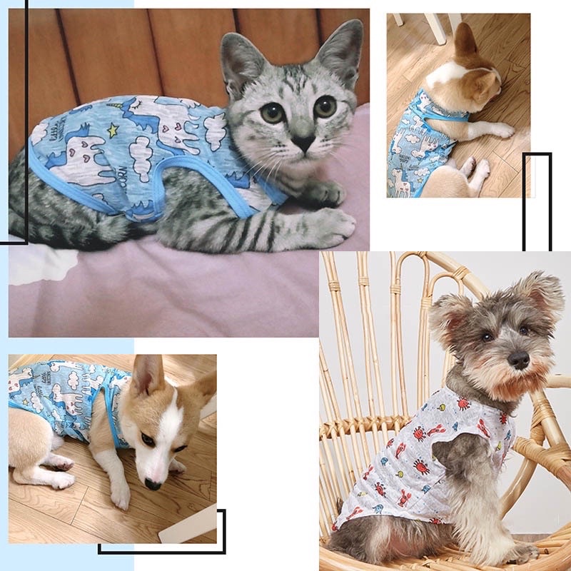 [Mã PET50K giảm Giảm 10% - Tối đa 50K đơn từ 250K] 🥰ÁO THUN MỎNG THOÁNG KHÍ CHO CHÓ MÈO