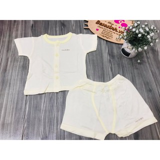 bộ cộc noubaby