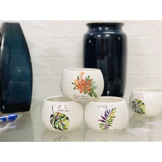 Chậu cây mini để bàn họa tiết siêu dễ thương
