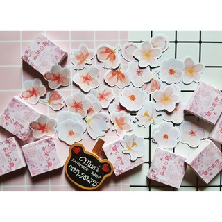Hộp 45 sticker hoa anh đào Sakura 🌸