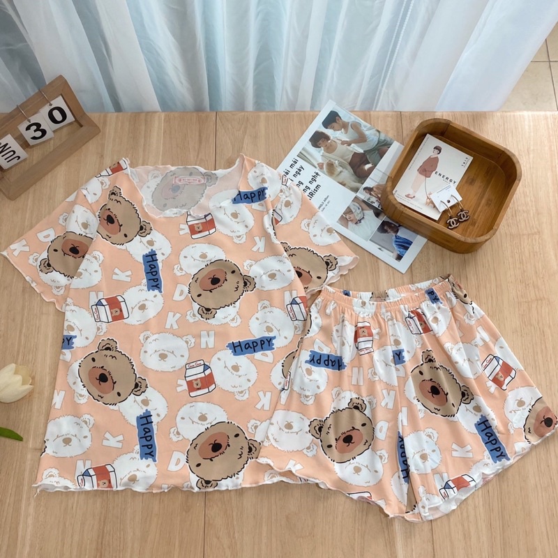 SET đồ bộ hoạt hình lai xoăn - 22.Lystore