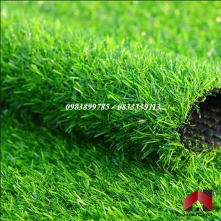 [1mx1m] THẢM CỎ NHÂN TẠO DÀY 2CM