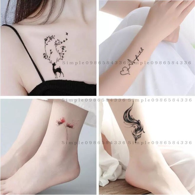 Set 5 bộ Hình dán nhiều mẫu độc đáo