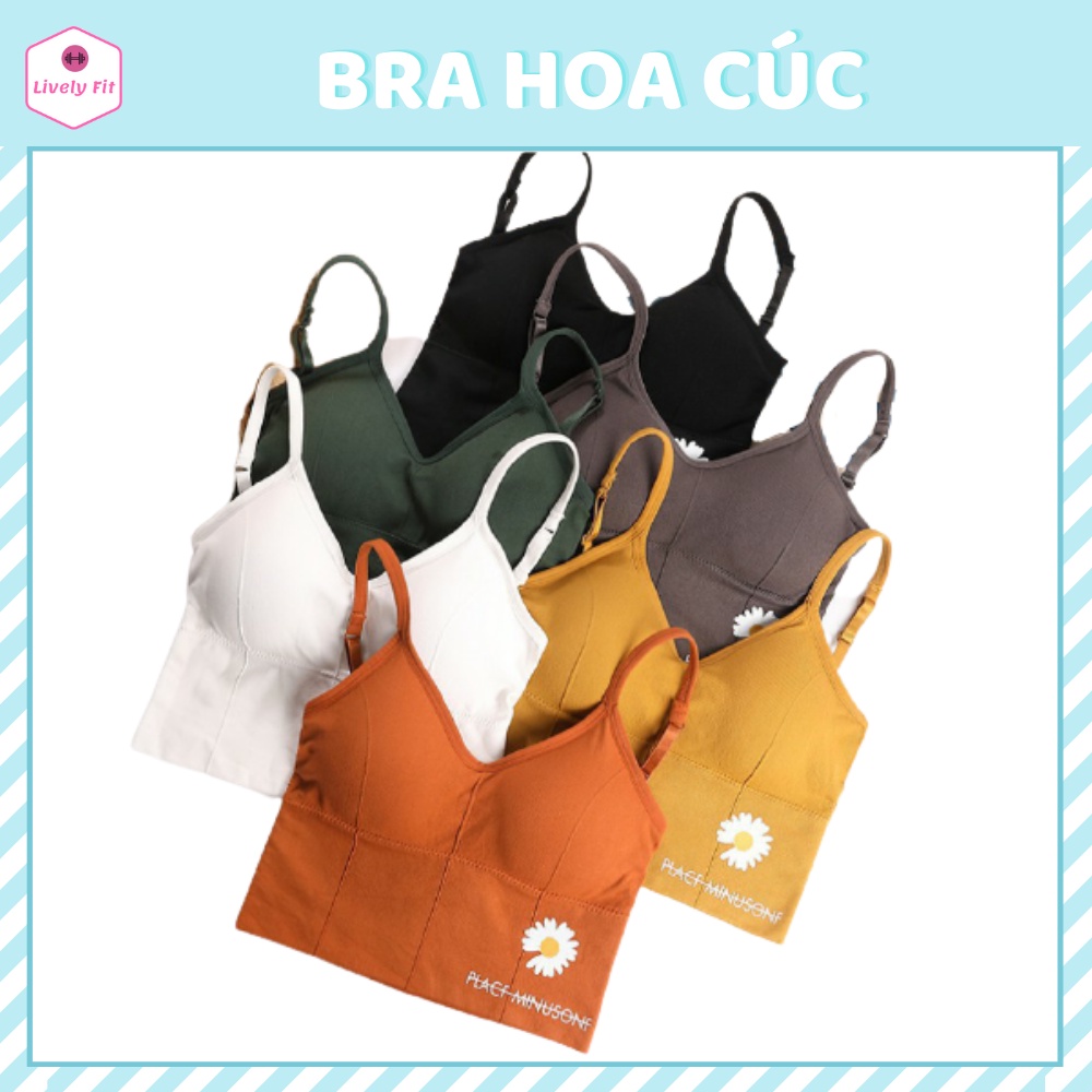 Áo Bra Hoa Cúc Thể Thao Gân Tăm Lưng Chữ U Có Mút Lót Lively Fit, Áo Tập Gym Yoga