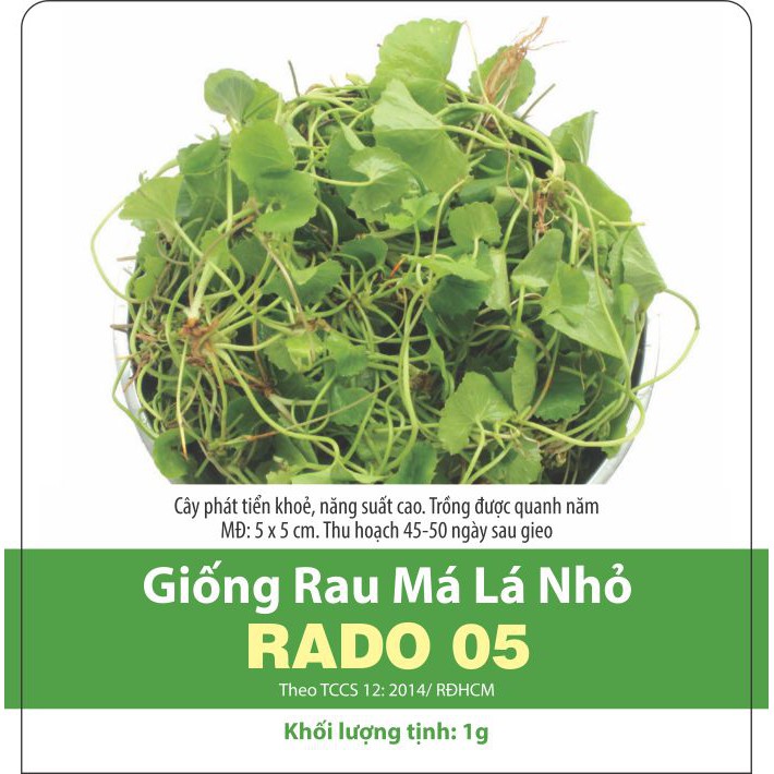 Hạt Giống Rau Má Lá Nhỏ Dễ Trồng, Năng Suất Cao 1gr