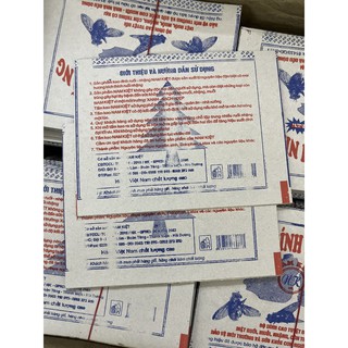 10 Miếng keo dán ruồi hiệu quả cao M2T