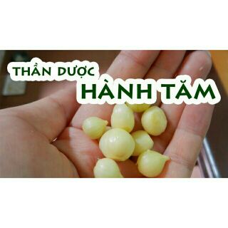 1 kg hành tăm