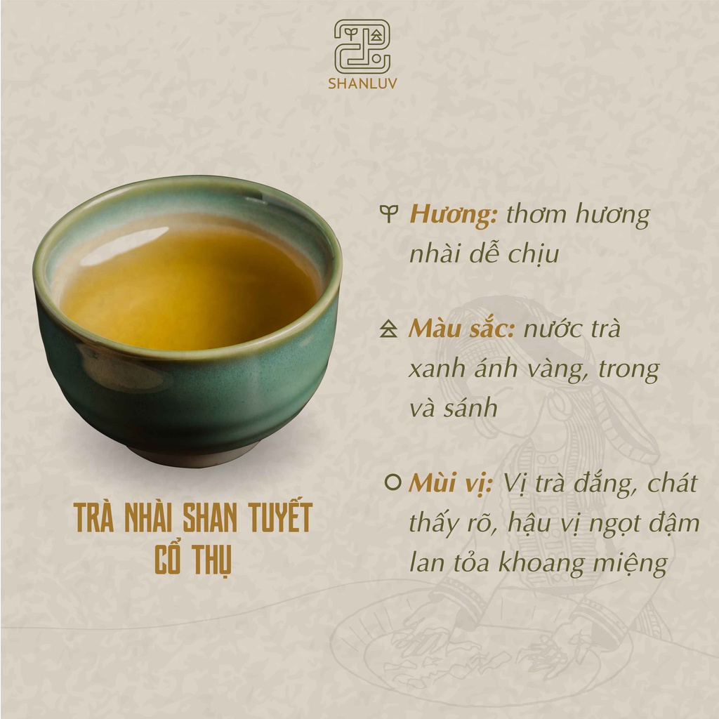Trà Shan Tuyết Cổ Thụ Cây 300 Tuổi Hà Giang 10 loại SHANLUV Thơm Mật Hậu Ngọt, Bền Nước 8gr | BigBuy360 - bigbuy360.vn