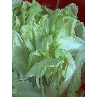 kim chi cải thảo cắt lát 500gr