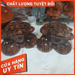 Cóc gỗ xà cừ