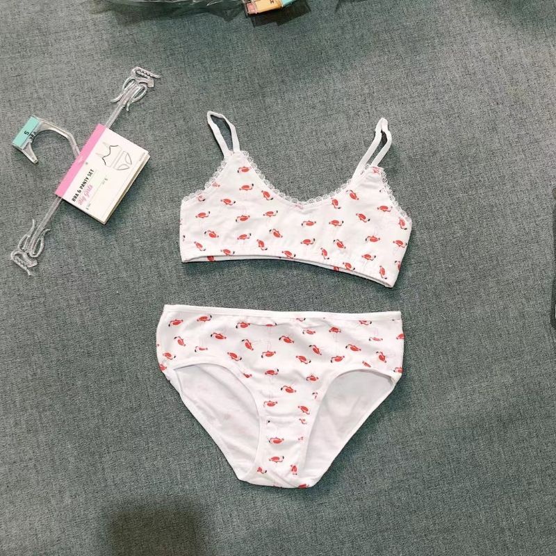 Sét 2 bộ đồ lót bé gái siêu xinh xuất dư siêu xịn