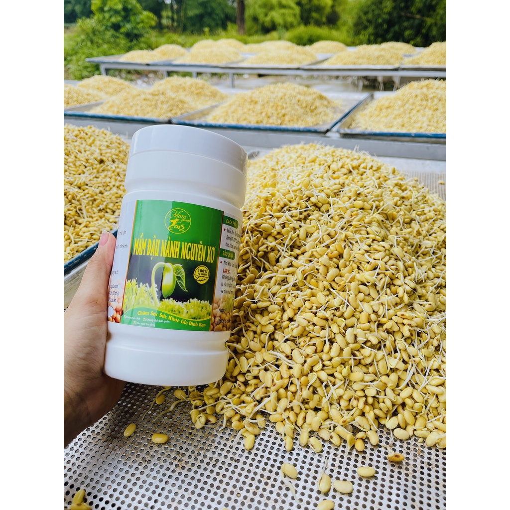 🌿🌿MẦM ĐẬU NÀNH NGUYÊN XƠ MOM BEAUTY GIÚP TĂNG VÀ SĂN CHẮC VÒNG 1 ĐẸP DA DÁNG THON  hộp 500gr | BigBuy360 - bigbuy360.vn