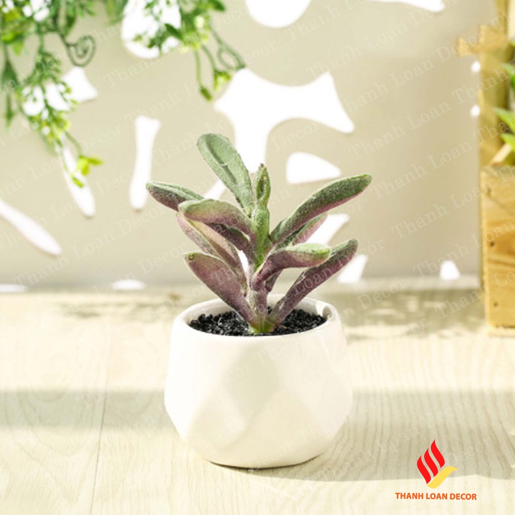 Chậu sứ mini Bát Tràng - Trồng sen đá, xương rồng để bàn xinh xắn - Màu trắng