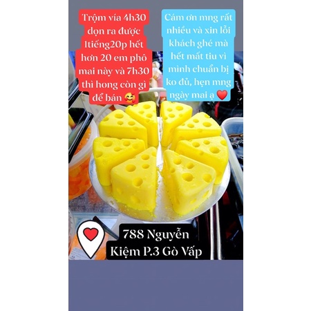 Khuôn silicon vỉ làm thạch rau câu pudding hình phô mai/cá/heo/hoa lá