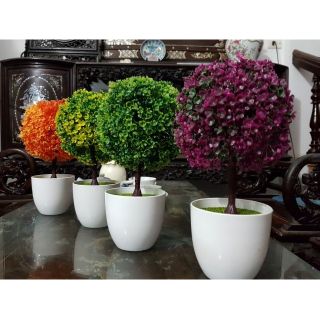 Cây hoa nhựa trang trí