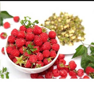 Hạt giống mâm xôi đỏ