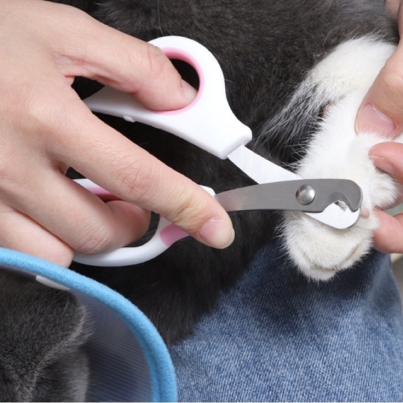 Kéo cắt móng cho chó mèo tao tao pet