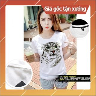 [ VẢI ÁO CAO CẤP ] - Áo Thun Nữ Cá Tính