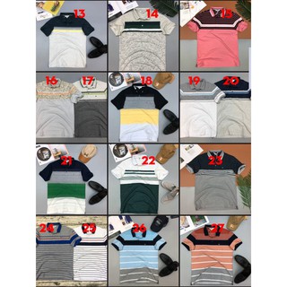Áo thun nam cotton  CK cao cấp
