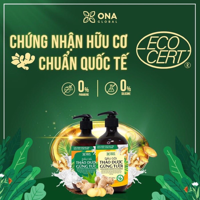 [Mã COS2405 giảm 8% đơn 300K] Combo gội + xả cặp dầu gội Thảo dược Gừng Dừa Hữu cơ cocayhoala 440ml