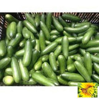 Hạt giống Dưa Bao Tử 10 Hạt