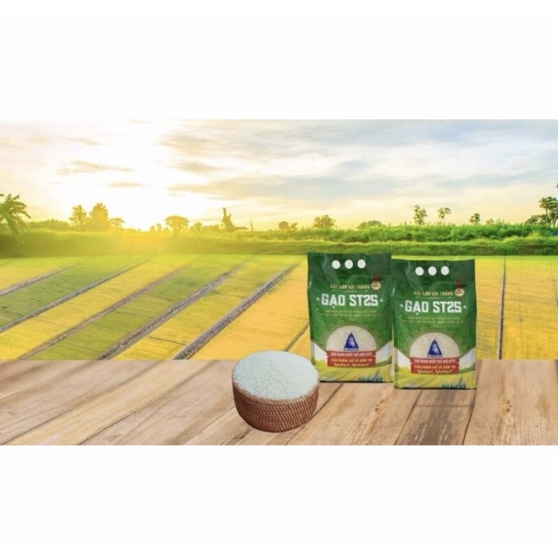 Gạo ST25 Vinaseed đặc sản Sóc Trăng 3kg