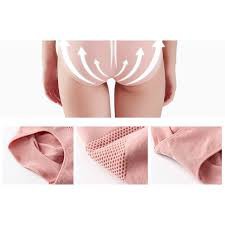 Quần Lót Cạp Cao Gen Bụng Nâng Mông Kháng Khuẩn Hàng Xuất Nhật 842