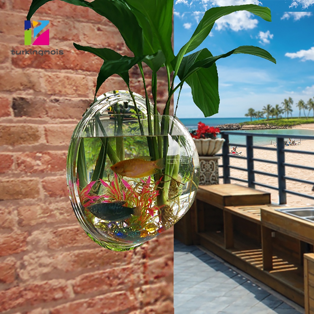 Bình cá cảnh acrylic treo tường sáng tạo