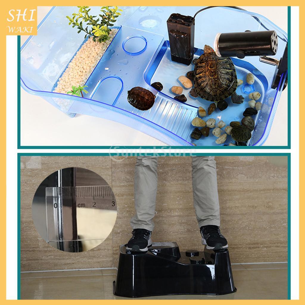Hộp Nuôi Rùa / Bò Sát Bán Trong Suốt Tiện Dụng