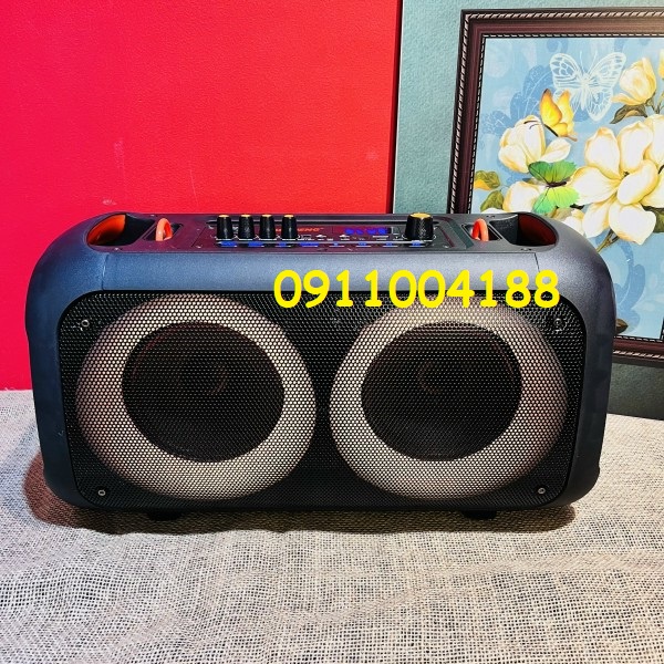 Loa karaoke mini di động Temeisheng 6616 LED Âm thanh siêu chất lượng + Tặng kèm 2 micro hút âm hát karaoke hay