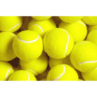Bóng tennis đã qua sử dụng.