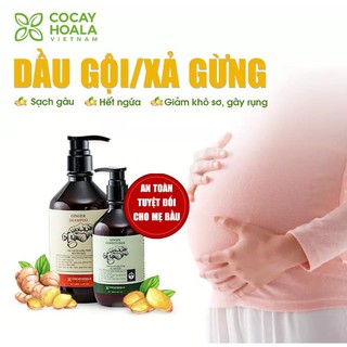 [Mẹ&Bé] Dầu gội - Dầu xả Gừng COCAYHOALA - Chăm sóc tóc rụng, ngứa da đầu, làm ấm da đầu cho mẹ bầu và sau sinh