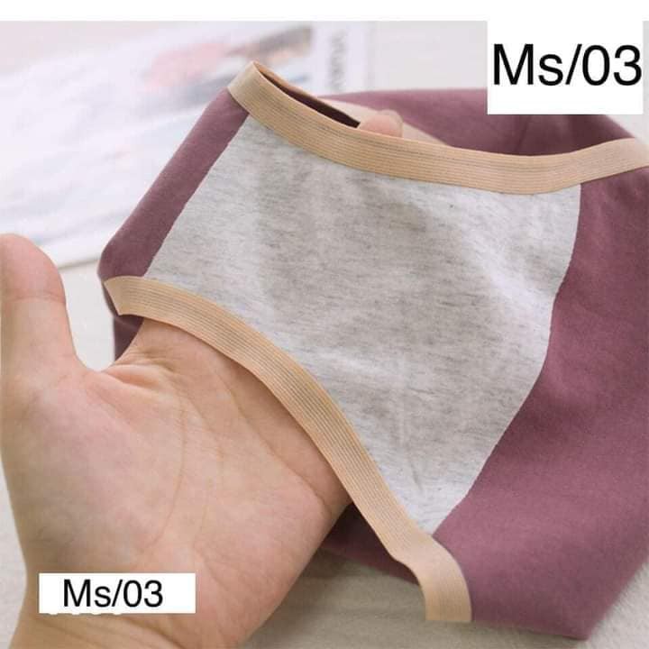 Lố 10 quần lót su trơn huy hiệu mã 02 siêu đẹp