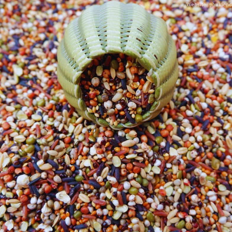 Thức Ăn Chim Cu Gáy Ngũ Cốc 20 Loại Hạt