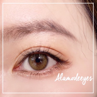 Lens nâu trong áp tròng