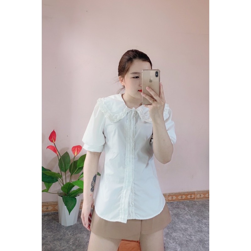 ÁO SƠ MI TAY CỘC CỔ SEN BÈO | BigBuy360 - bigbuy360.vn