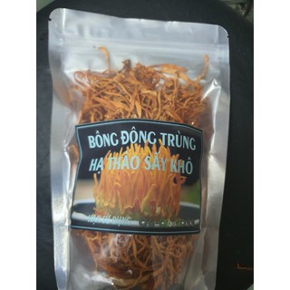 BÔNG ĐÔNG TRÙNG SẤY KHÔ 100GAM date mới