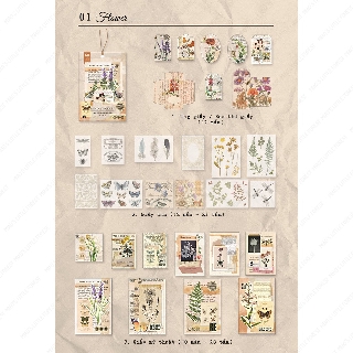 BỘ GIẤY VINTAGE JOURNAL | MDC214